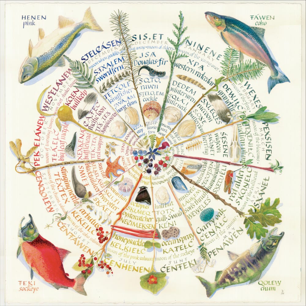 Thirteen Moon Calendar of Indigenous foods by Briony Penn