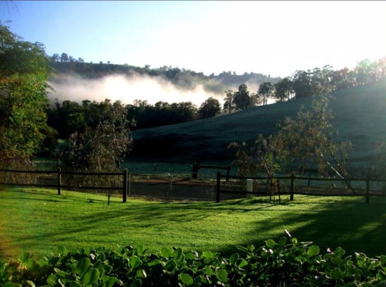 Homesteading hobby farm in the south west of western australia. Rolling hills, mist in the valley, with green grass
