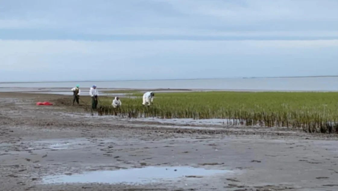 Derrame de petróleo en la ría: piden que se evalúe si hubo delito