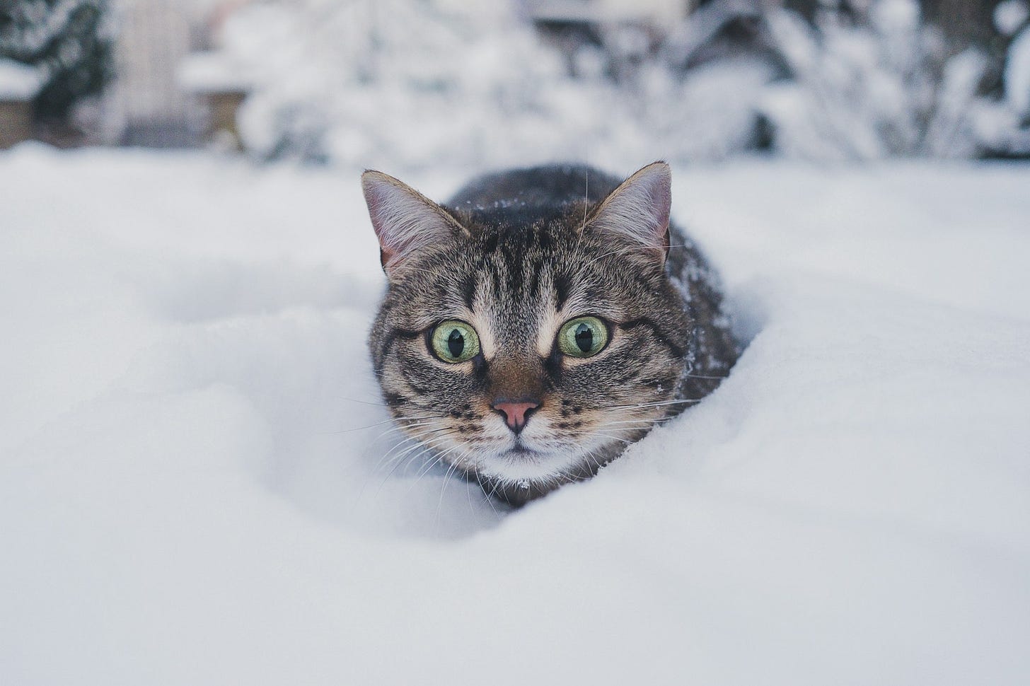 A Functional Medicine Approach to Seasonal Affective Disorder (SAD) Treatment and Management