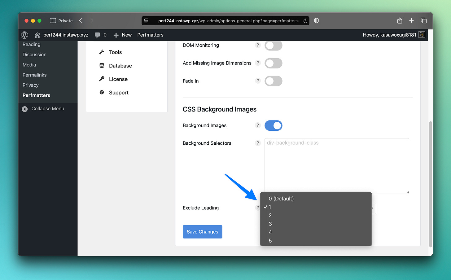 Exclude leading background images from lazy loading
