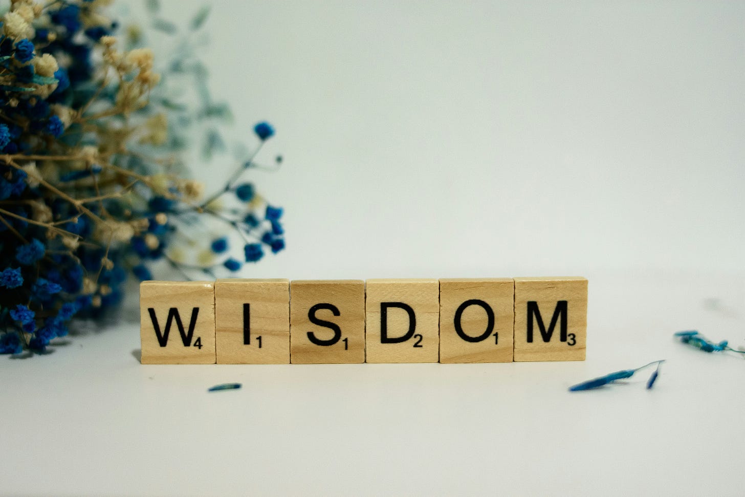 The word "wisdom" written out using scrabble tiles, set against a white background. 