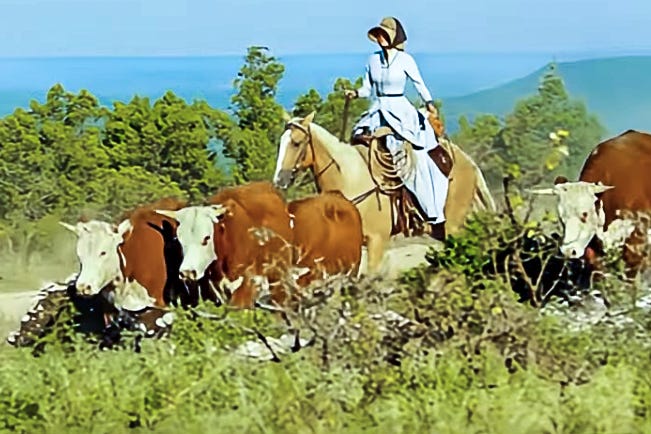 In the series “1883,” Elsa Dutton rides a palomino mare through rolling prairie and drives a herd of reddish-brown cattle with white heads in front of her – presumably Hereford cattle or Hereford crossbreeds. Elsa wears a light-colored dress and a wide-brimmed sun hat, which contrasts with traditional cowboy clothing. In the background, a wide, wooded landscape stretches to the horizon. In the series “1883,” Elsa Dutton rides a palomino mare through rolling prairie and drives a herd of reddish-brown cattle with white heads in front of her – presumably Hereford cattle or Hereford crossbreeds. Elsa wears a light-colored dress and a wide-brimmed sun hat, which contrasts with traditional cowboy clothing. In the background, a wide, wooded landscape stretches to the horizon.