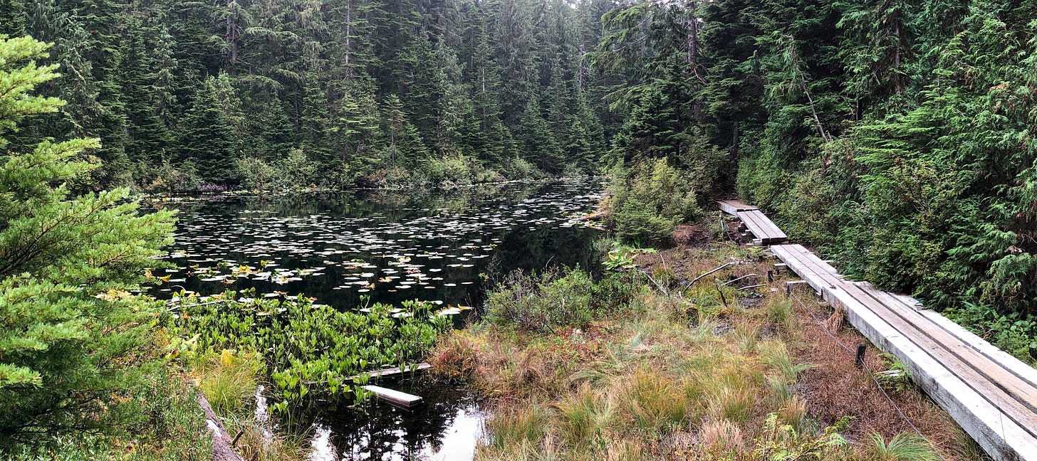 view of Blue Gentian Lake