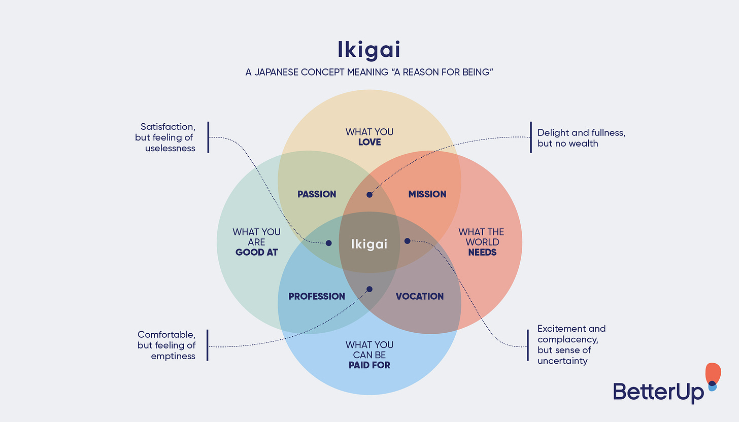 sample ikigai diagram