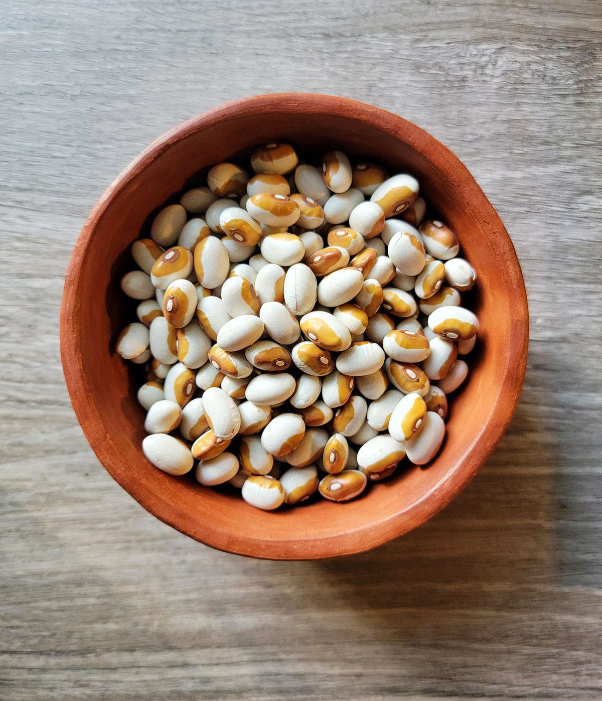 A bowl of Hidatsa beans. 