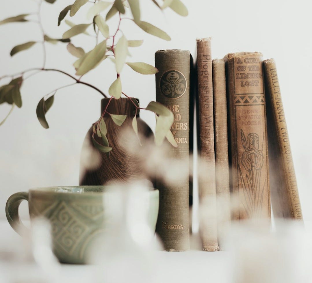 a vase with a plant in it next to some books