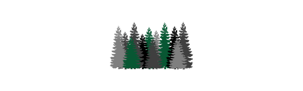 graphic of pine trees used as a page breaker