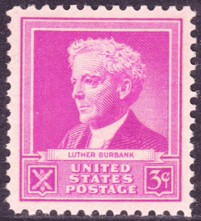 burbank stamp