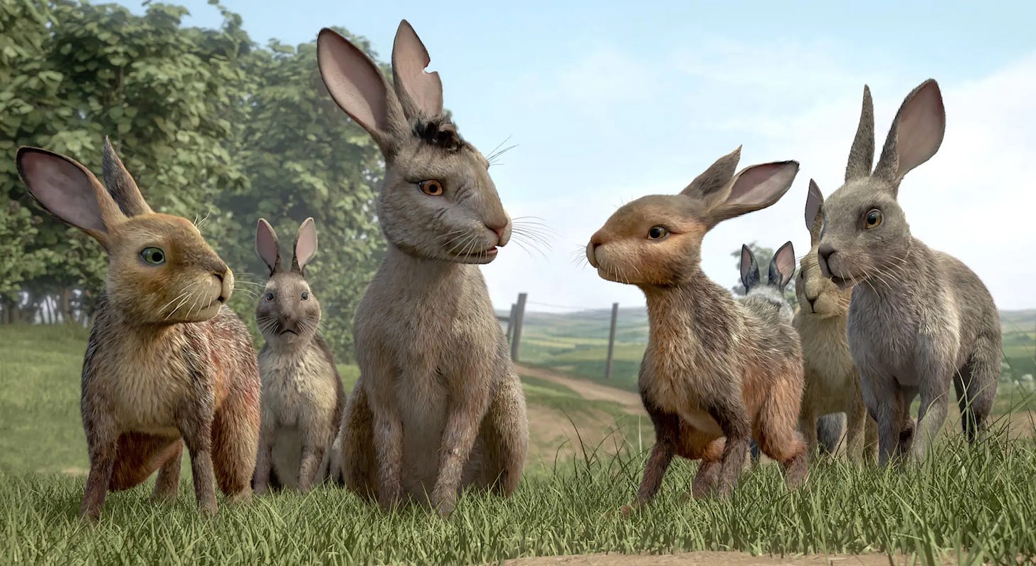 Rabbits from the Netflix series Watership Down