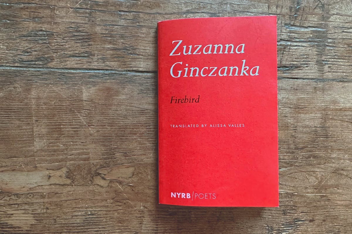 Image of the book cover for Zuzanna Ginczanka's collection of poems, Firebird, translated by Alissa Valles (NYBS, 2023)