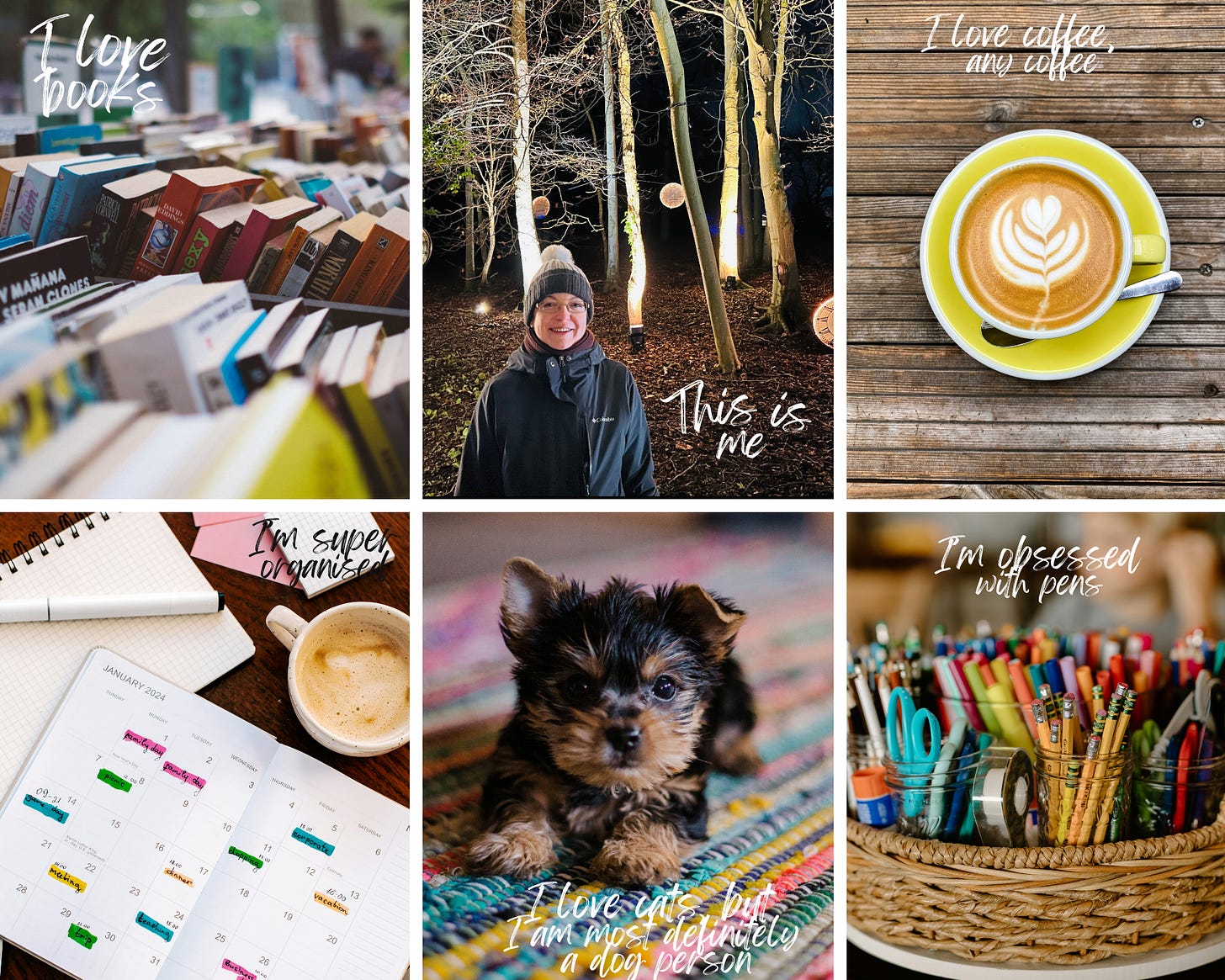 6 picture collage of books, woman in winter, coffee mug, calendar and stationary, puppy and colleaction of pens