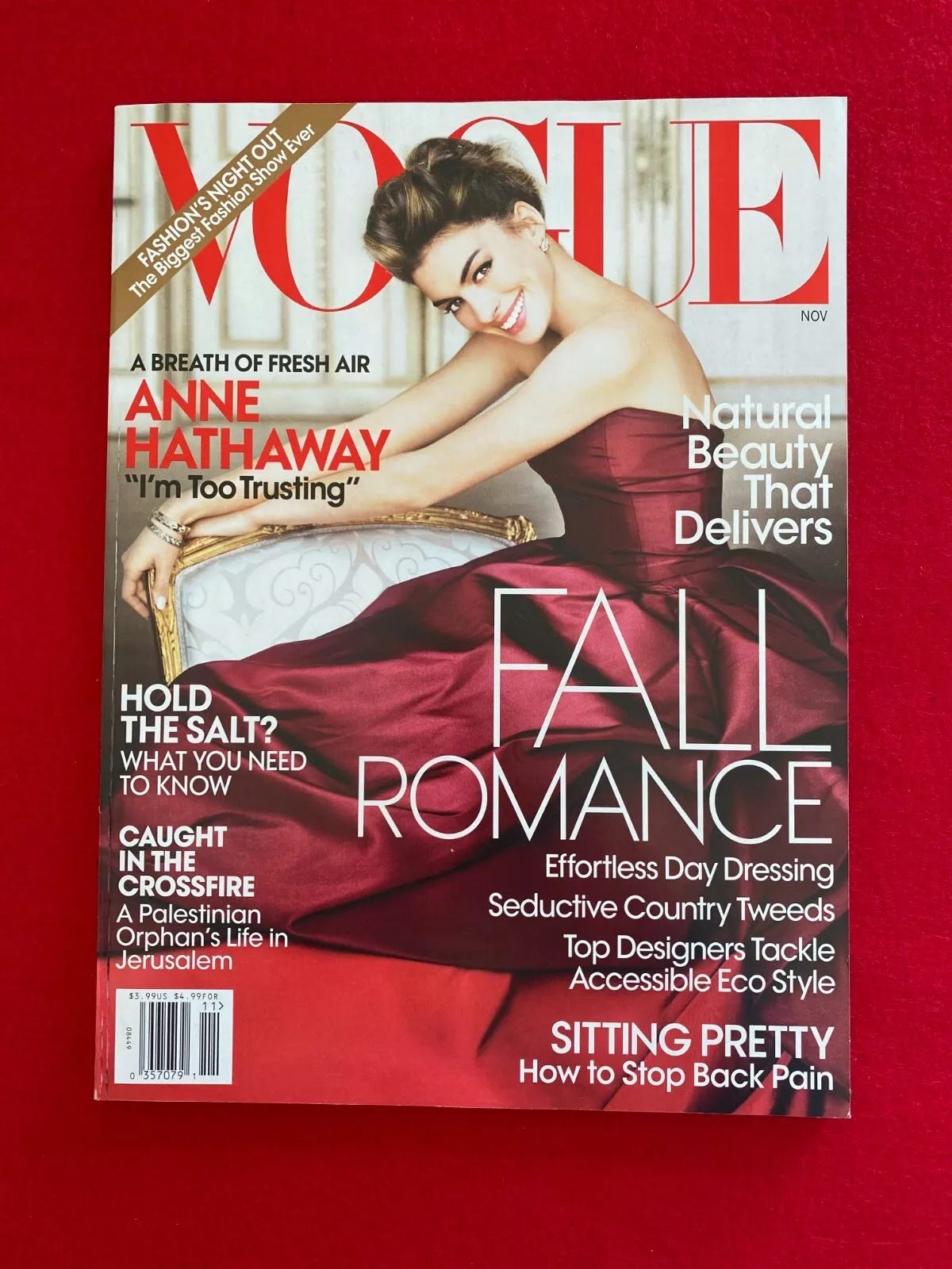 VOGUE NOVEMBER 2010 ANNE HATHAWAY LOVE AND OTHER DRUGS STELLA MCCARTNEY HOME - Picture 1 of 1