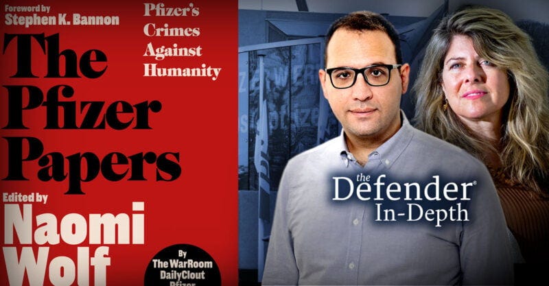 defender in depth and naomi wolf