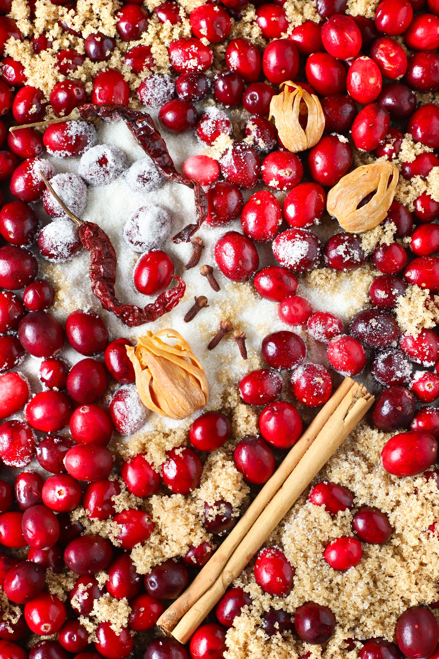 Fresh cranberries with white and brown sugars, dried chilies, cinnamon, cloves, and blades of mace.