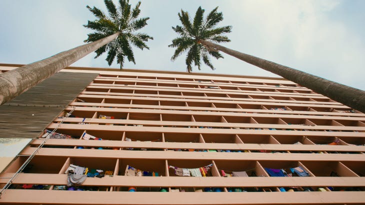 Two towering palm trees outside a sand-coloured building