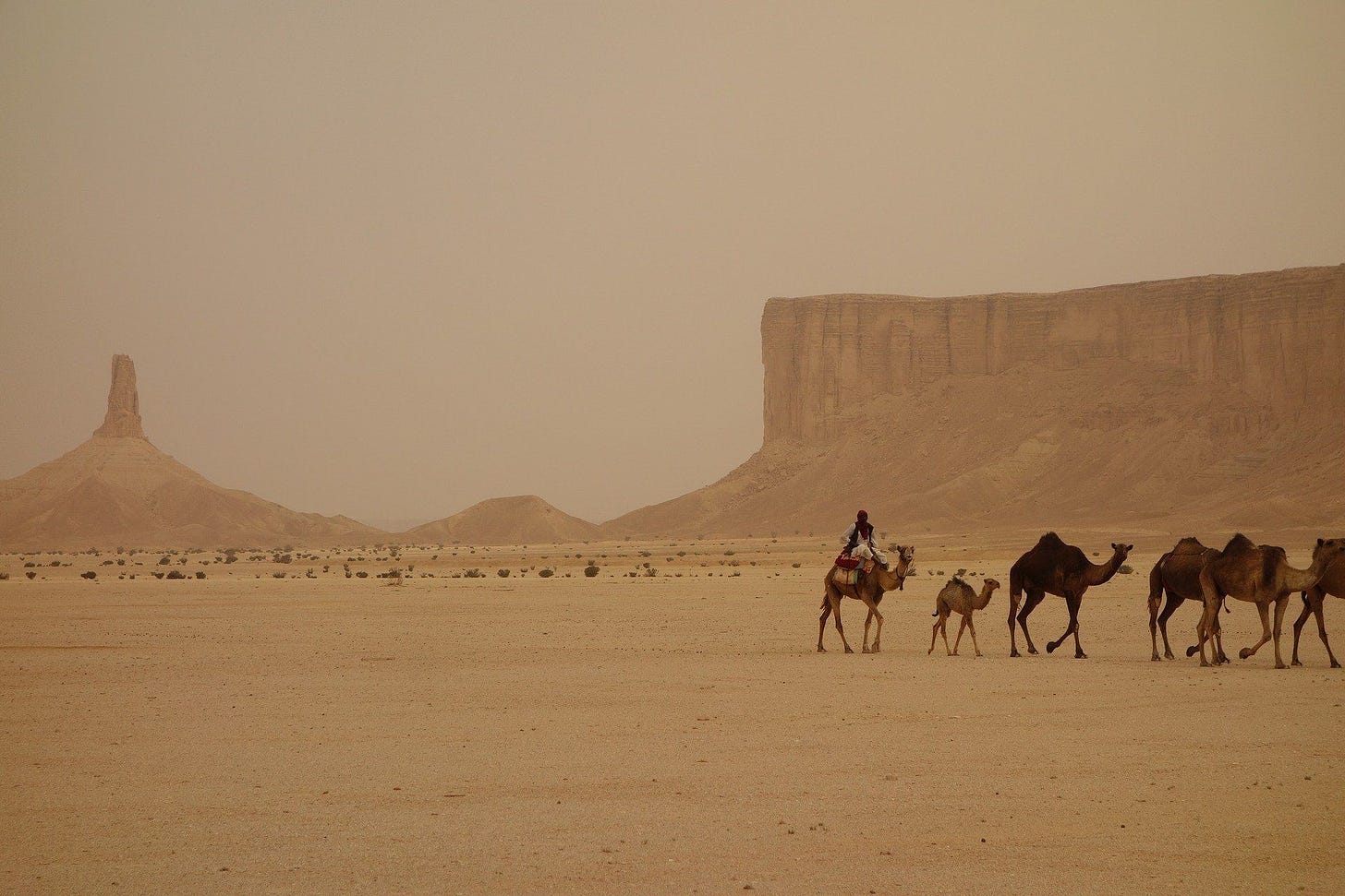 How Saudi Arabia manages its extreme Water Crisis – A Detailed Analysis