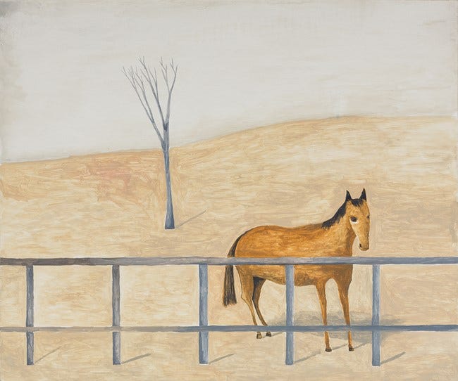 Horse behind fence Noel McKenna
