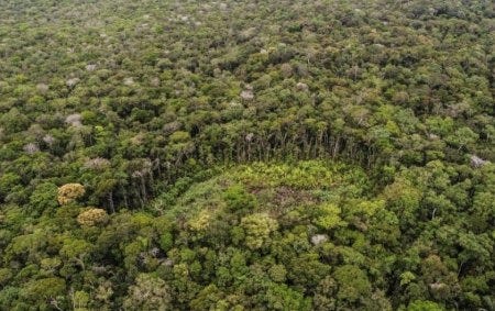 Déforestation en Colombie