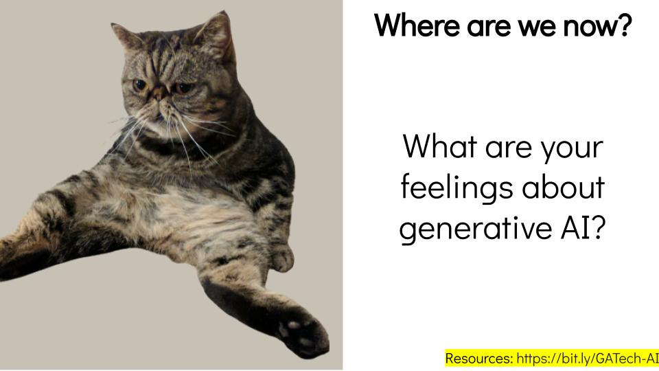 Slide 10 from the presentation that includes a gray and black short-hair Persian cat sitting upright and text that asks where you are you now and "What are your feelings about generative AI?".