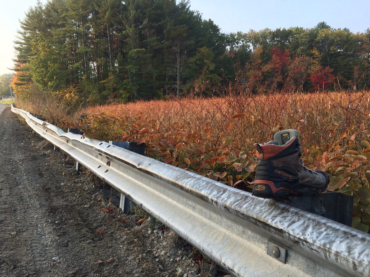 Lost Keen hiking shoe perched on guardrail with evergreens and a field of orange & rust autumn grasses in backround. Photo by Sue Repko.