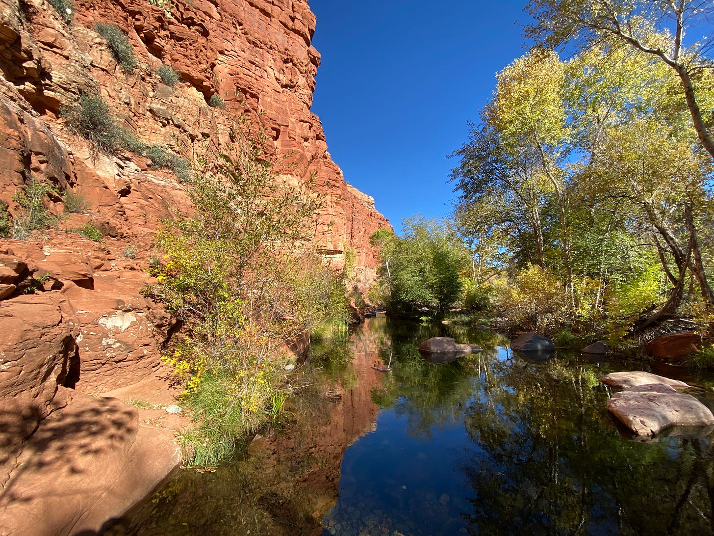 A red rock cliff forms the sidewall of a highly reflective creek with a line of decidous trees on the other side and a bright blue sky.