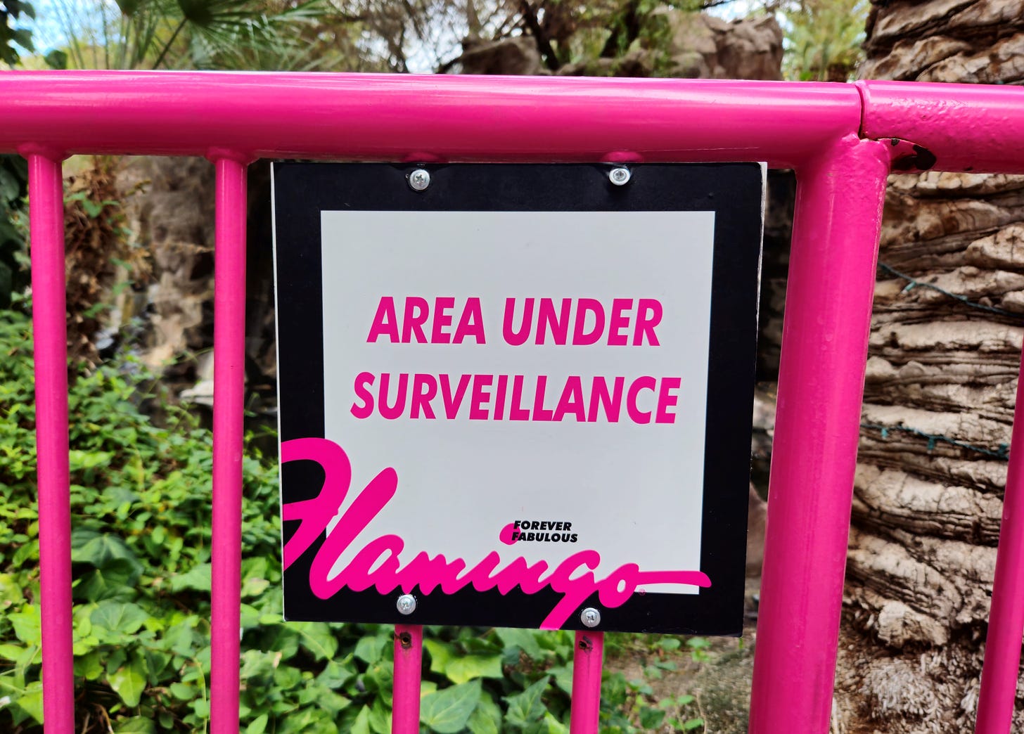 A photo of an Area Under Surveillance sign at the Flamingo Hotel.