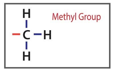 methyl group 
