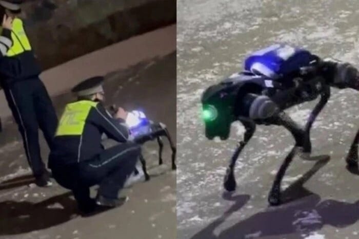 A Robotic Dog-Narcotics Courier Roamed Moscow - all the latest news today –  112.ua
