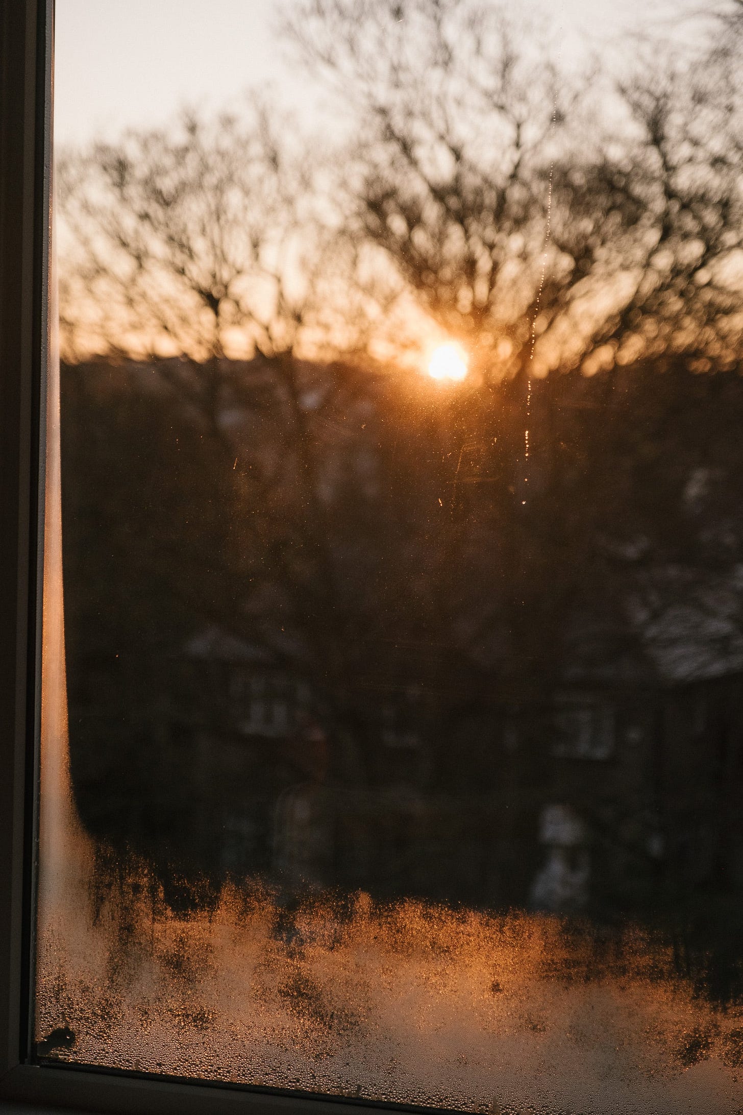 A sunrise through a window that is steamed up at the bottom. Outside the window is out of focus but trees with no leaves are visible.