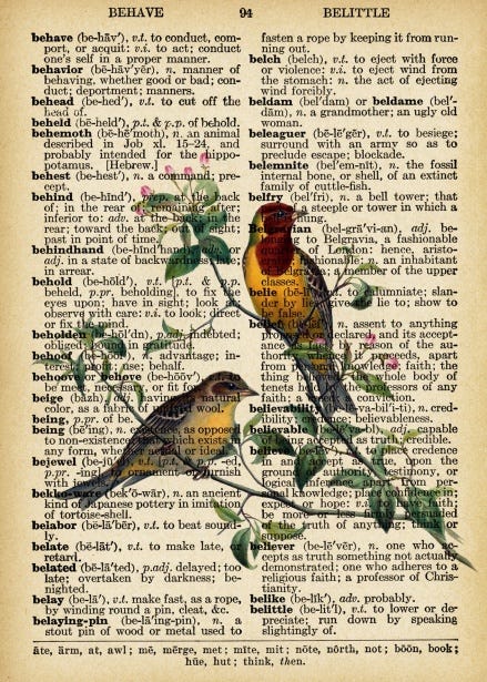Vintage Bird Dictionary Page Free Stock Photo - Public Domain Pictures