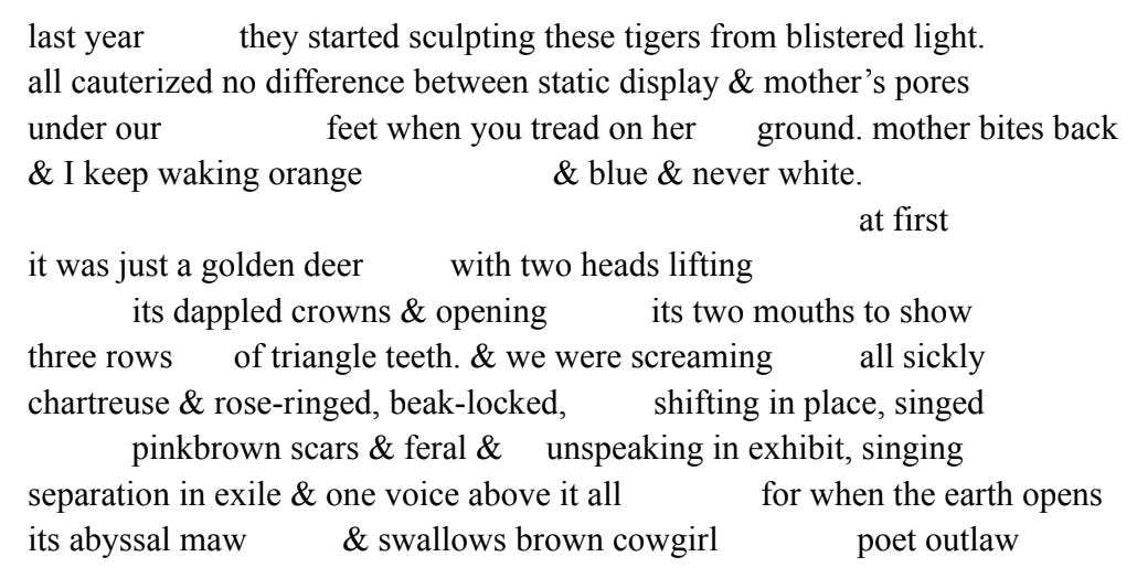 last year they started sculpting these tigers from blistered light. all cauterized no difference between static display & mother’s pores under our feet when you tread on her ground. mother bites back & I keep waking orange & blue & never white. at first  it was just a golden deer with two heads lifting its dappled crowns & opening its two mouths to show three rows of triangle teeth. & we were screaming all sickly chartreuse & rose-ringed, beak-locked, shifting in place, singed pinkbrown scars & feral & unspeaking in exhibit, singing separation in exile & one voice above it all for when the earth opens its abyssal maw & swallows brown cowgirl poet outlaw