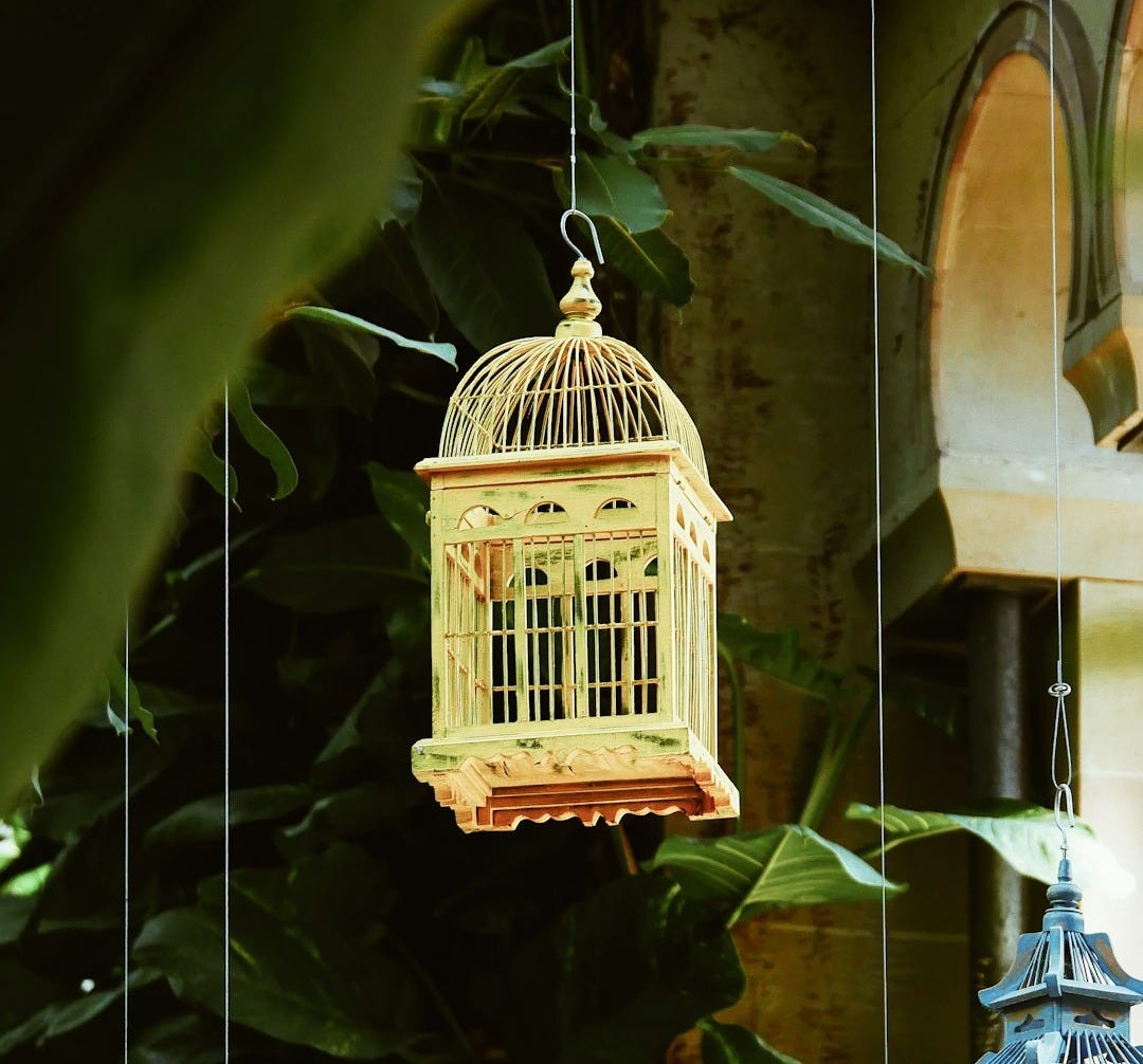 gray bird cage gray bird cage