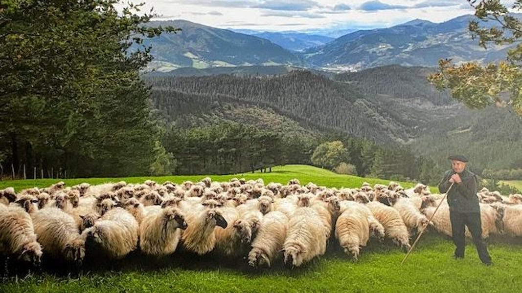 Basque Country: Sampling Cheese, Wine And Tradition