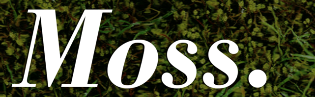 A close up of a logo

Description automatically generated