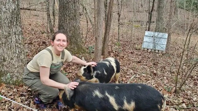 Person in overalls in the woods with their hands on two black-and-white pigs