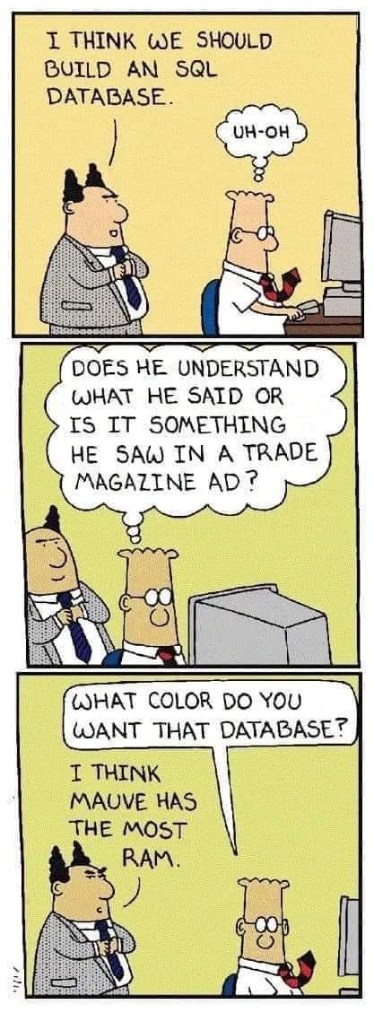 May be a cartoon of text that says 'I THINK WE SHOULD BUILD AN SQL DATABASE. UH-OH DOES He UNDERSTAND WHAT He SAID OR IS IT SOMETHING He SAW IN A TRADE MAGAZINE AD? WHAT COLOR DO YOU WANT THAT DATABASE? I THINK MAUVE HAS THE MOST RAM.'
