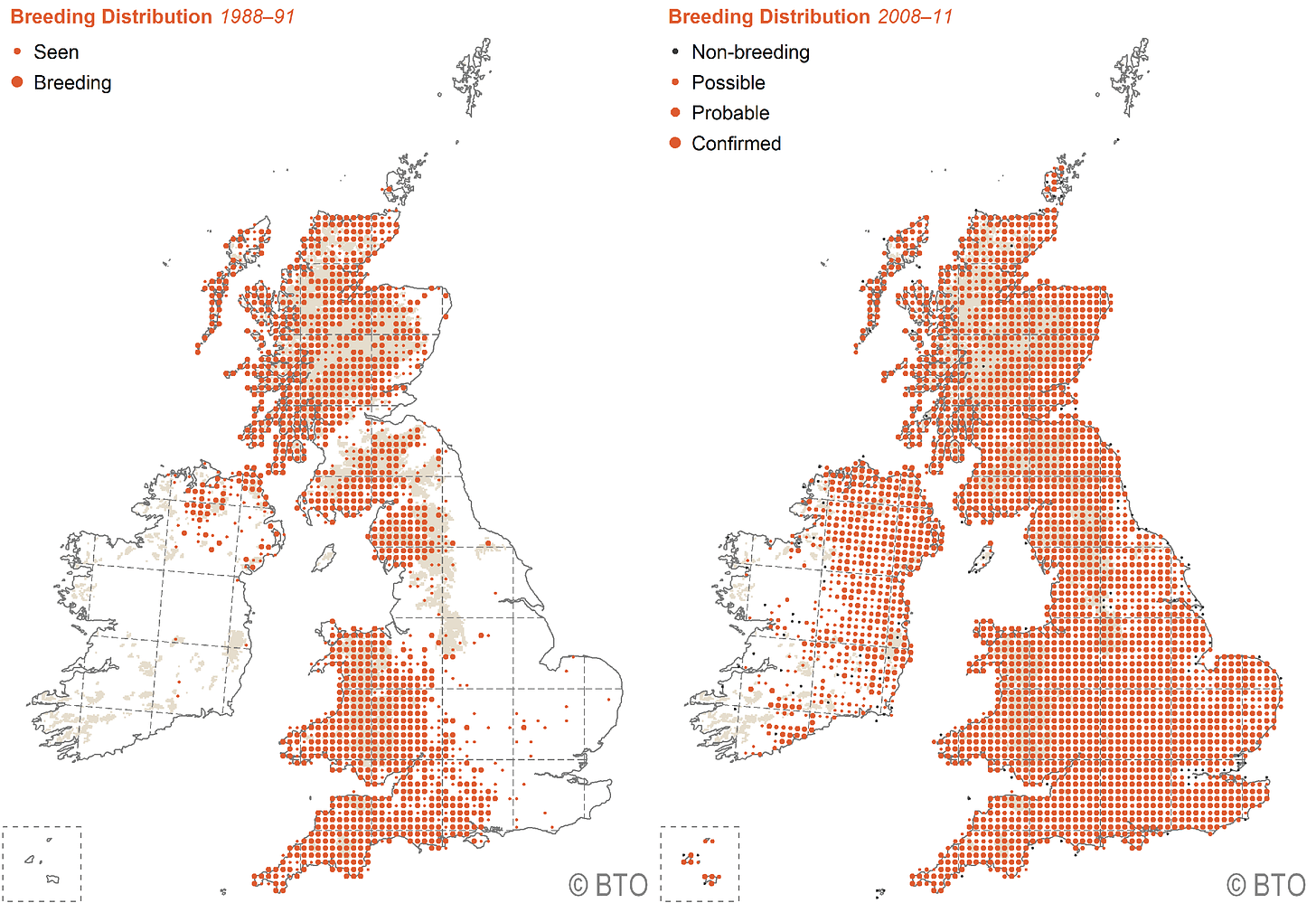 Comparison of UK distribution maps for Buzzard for 1988-1991 and 2008-2011