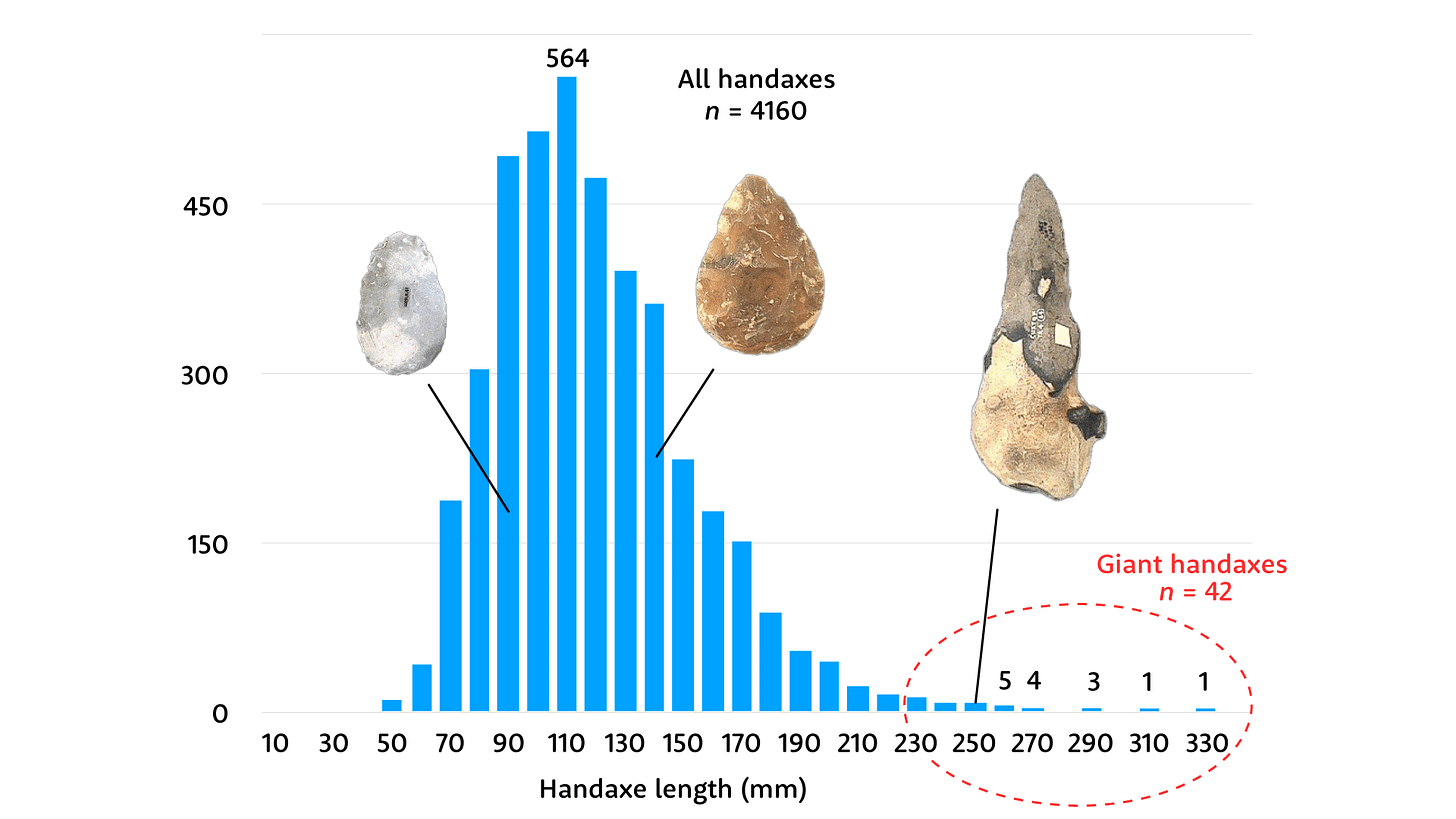 A histogram showing that biface length forms a bell curve with a mode around 110 mm. In this figure, the values above 220 mm are circled, and three photographs of bifaces of different lengths are included for illustration A histogram showing that biface length forms a bell curve with a mode around 110 mm. In this figure, the values above 220 mm are circled, and three photographs of bifaces of different lengths are included for illustration