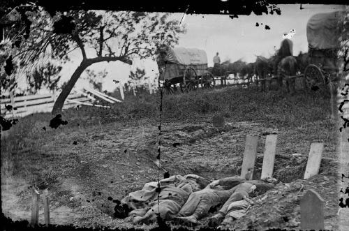 00844v-lc_confederate-graves-on-rose-farm_detail