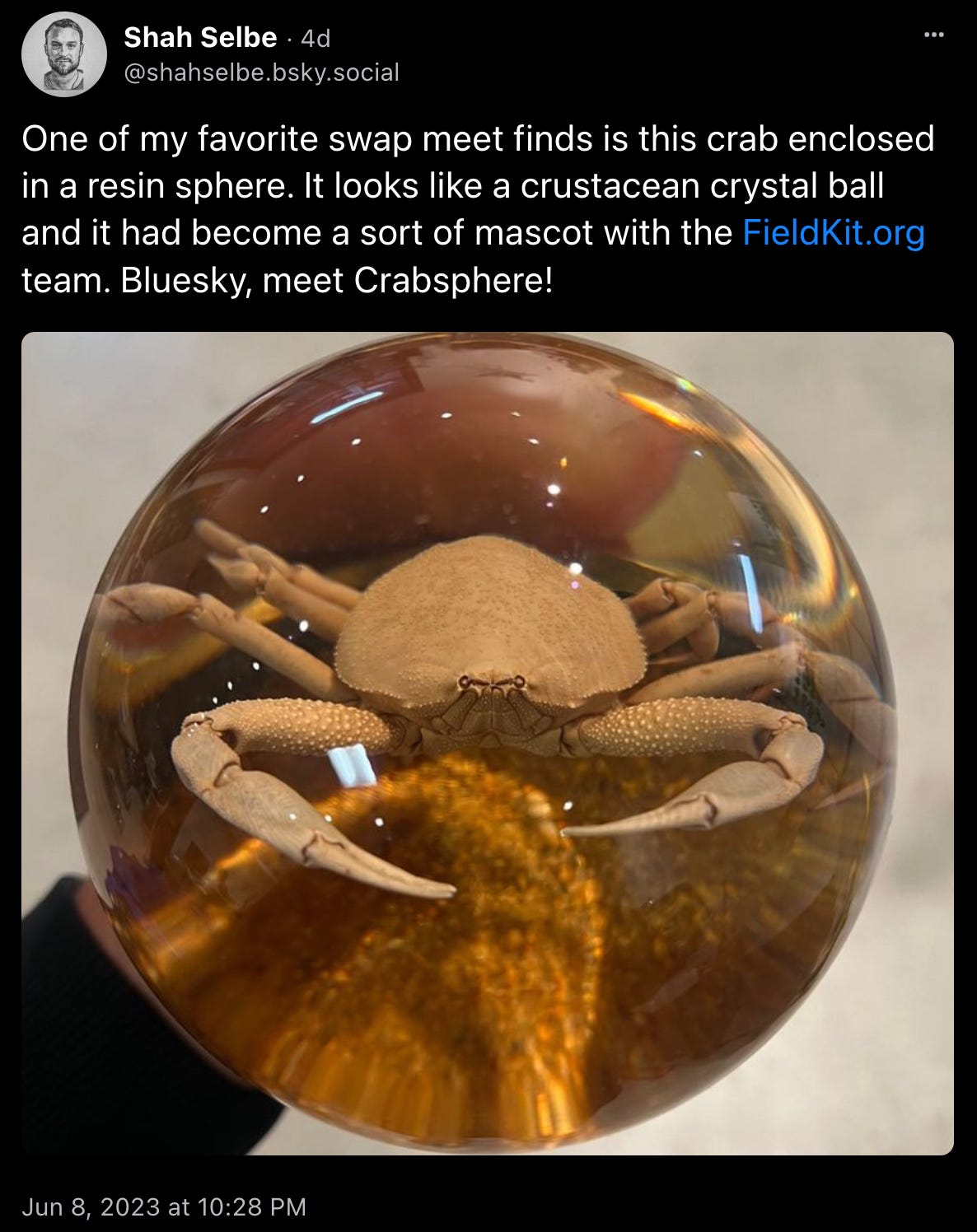 Today in Crabs, a skeet by Shah Selbe: “One of my favorite swap meet finds is this crab enclosed in a resin sphere. It looks like a crustacean crystal ball and it had become a sort of mascot with the FieldKit.org team. Bluesky, meet Crabsphere!” with a picture of what can indeed only be described as “a crabsphere.” 