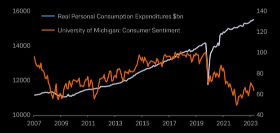 The consumer paradox