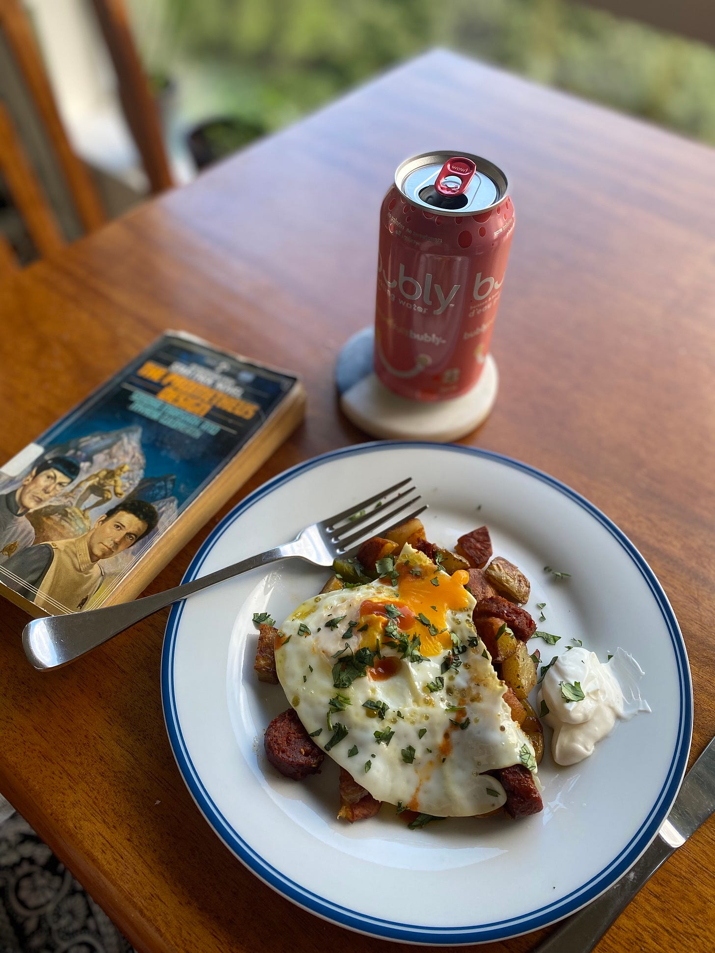 A white plate with a blue rim, showing a serving of the hash described above, with a fried egg on top. The yolk is running a little over the hash. Everything is sprinkled with cilantro and hot sauce, and there's a bit of sour cream on the side. Next to the plate are a can of sparkling water, and the Star Trek novel "The Prometheus Project."