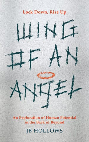 Book cover Wing of an Angel - grey background, teal and orange writing