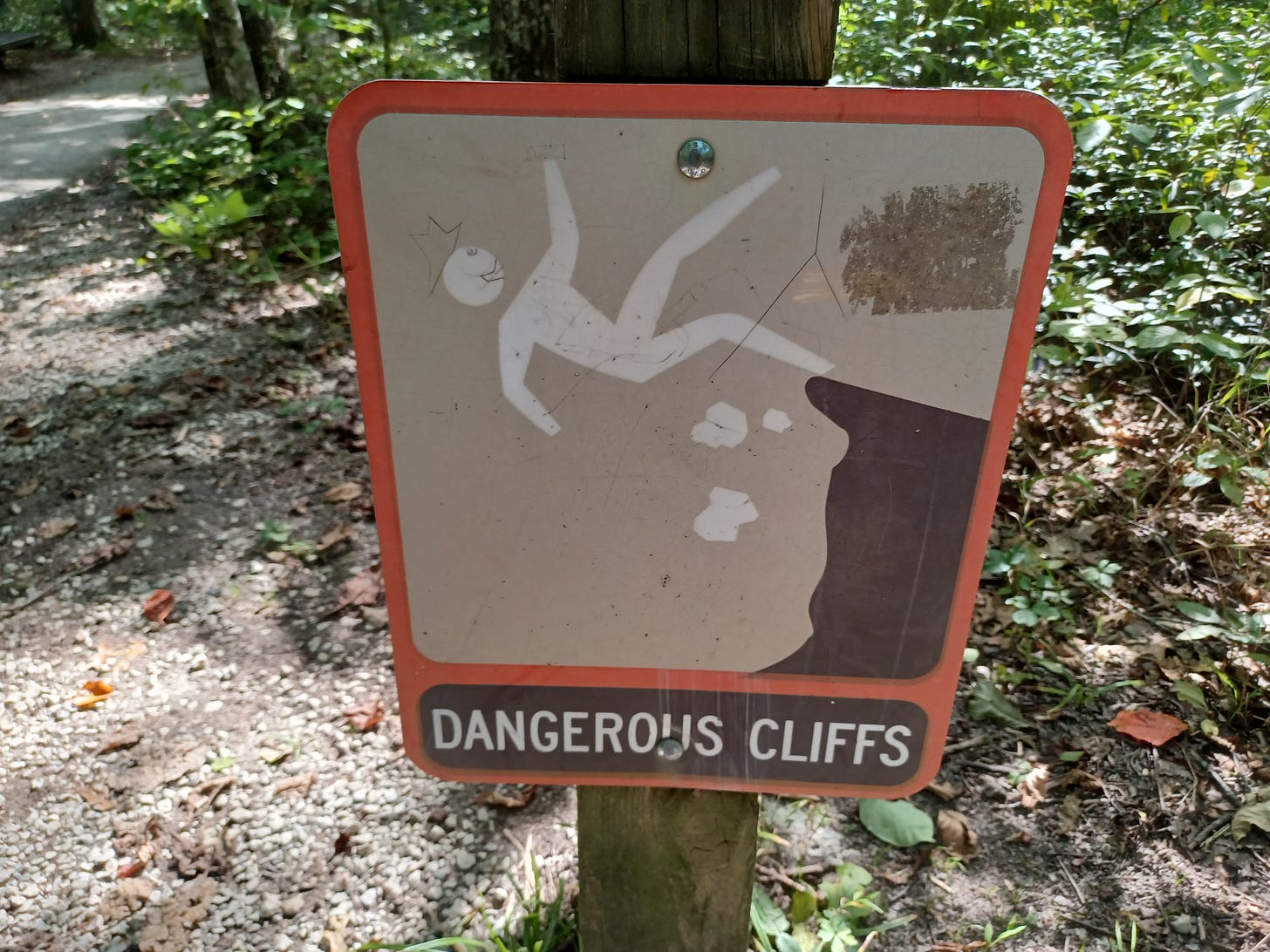 Why I am not doing NaNoWriMo this year (or probably ever)