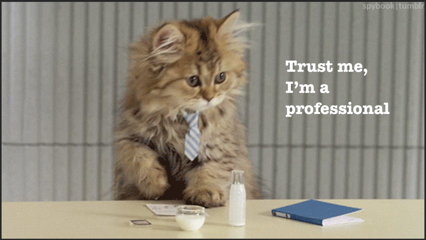 Cat wearing a tie. "Trust me, I'm a professional."