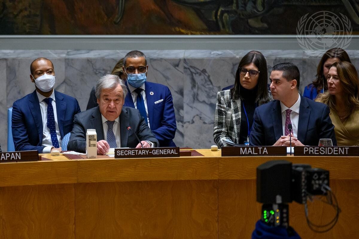 Foreign minister Ian Borg at the UN Security Council 