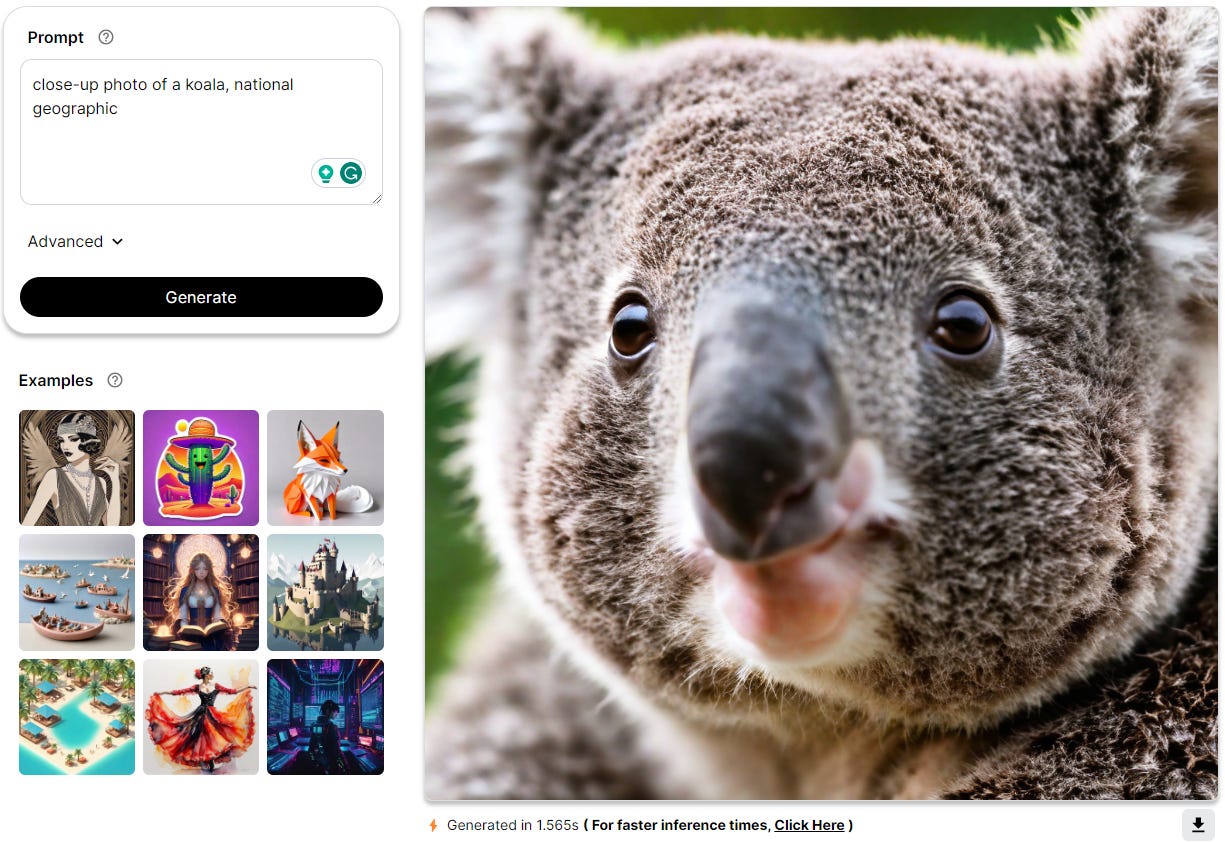 Close-up photo of a koala within Segmind's interface