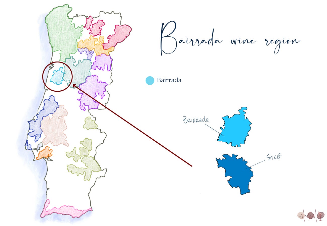 Bairrada wine region map and Portugal wine map by Kate from Survives on wine