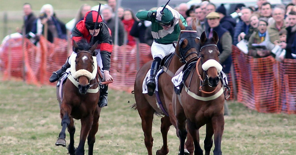 Point-to-point racing organised by the Holderness Hunt